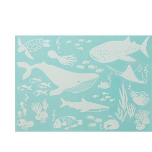 TR[}[NH Uh~V[g 썑̐@QWS-541@4562257588695