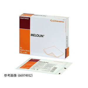 X~Xlt[ n핢ށ@K[[iŋۍρj100×100mm@10 @4582111150653 yi [10cƓz