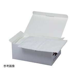 X~Xlt[ n핢ށ@K[[iŋہj200×300mm@25 @4582111150714 yi [10cƓz
