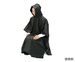 񂵂gC|` @81415@4560127272187