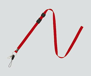 ×pXgbv@NB|208|RD@4970115558375