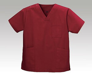 �X�N���uDS�|2001���B���e�[�W��3L�@4571249986746