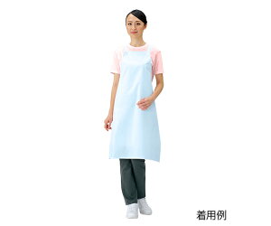 EghCGv |iu[jE1004-1T pi@4991097100413