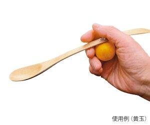 iHj@ʁ@SJ-11@4530191009101