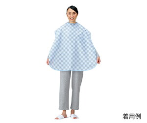 HpGv@T|210S@u[@4571312040085