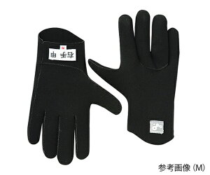 ^̌Zbg\ii܂Ȃё́Eҗpver.2jҗp܁@M@4521573012024