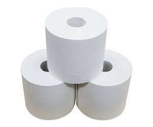 �}�C���b�g�i���ڃg�C���b�g�y�[�p�[�j255mx30�� ���C�E���Q�΍��10�N�Ԃ̒����ۑ� 4571263020884