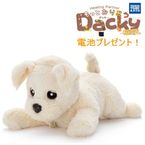 ydrtłɗVׂIzƂ肱_bL[oj ^Jg~[A[c q[Op[gi[ v[g  ^ybg{bg V XgXɘa {bg