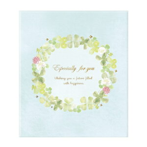 �i�J�o���V Nakabayashi�@���b�Z�[�W�u�b�N�@M�T�C�Y�@�N���[�o�[�@MBM-201-1