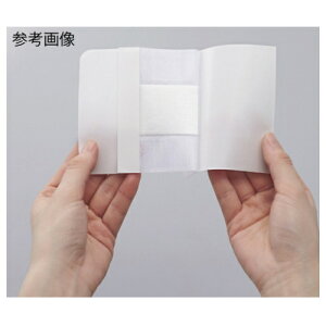 jgY Dpbh ԂɂsDzpbhthbVO TCY100×160mm@1516