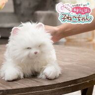 【電池10本付き！】まばたきが可愛い！　デジレクト しっぽふりふり あまえんぼう 子ねこちゃん プレゼン…