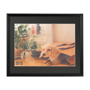 iJoV  ʐ^z tHgt[ A3 F-SP-113-D ubN