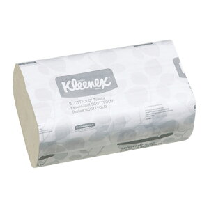 NVA XRbgtH[h nh^I Q̋z 199×315mm (120×25) 36101 4901750361006