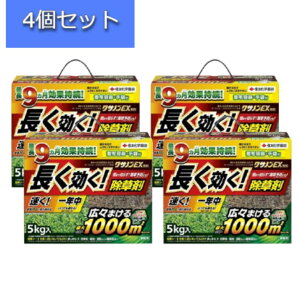 y4ZbgzZFw|  NTmEX 5kg G \h