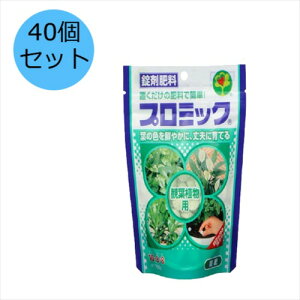 y40ZbgznC|lbNXWp v~bN ϗtAp 150g 엿 Ɍ엿 ܔ엿