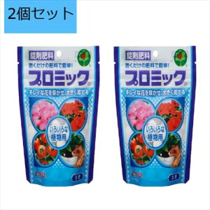 y2ZbgznC|lbNXWp v~bN 낢ȐAp 350g 엿   ϗtA@Q