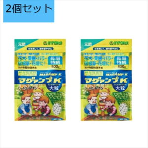 y2ZbgznC|lbNXWp }O@vK 嗱 500g MAGAMP K  엿   