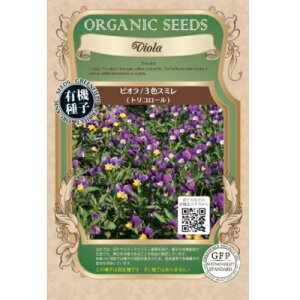 y|XgցzO[tB[hvWFNg@rI@3FX~ gR[yL@qEŒz@n[u@tH