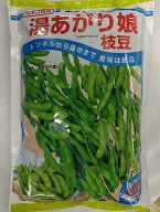 カネコ種苗 枝豆　エダマメ 湯あがり娘 2000粒　種子