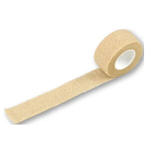 | nhJbg\ s^bƃ^C 2.5cm×4.5miLj1i10j021505 ~}pi qpi