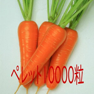 y׎oׁzJlRc@݌ܐ@lQ@ybg10000