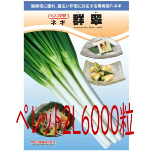 【入荷次第出荷】カネコ種苗 群翠葱 ペレット2L6000粒