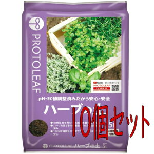 vg[t@n[u̓y@5L@10Zbg