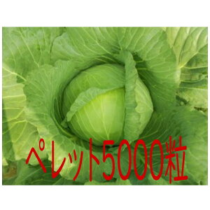 y׎oׁzJlRc@@Lxc@ybg5000