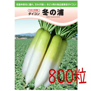 y׎oׁzJlRc@~̉Y卪@800