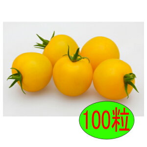 �y���׎���o�ׁz�J�l�R��c�@�C�G���[�z�[�v�@100��