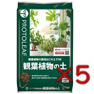 vg[t ϗtA̓y 5L@5Zbg