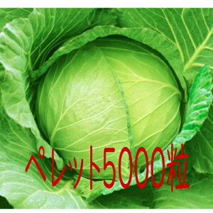 y׎oׁzJlRc@@Lxc@ybg5000