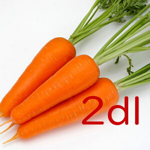 y׎oׁzJlRc@gԁ@lQ@2dl