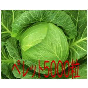 y׎oׁzJlRc@ʁ@Lxc@ybg5000