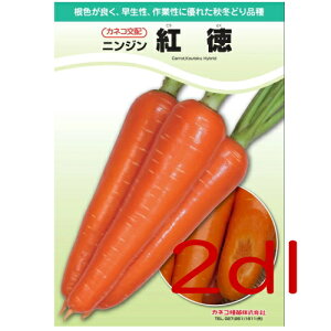 y׎oׁzJlRc@g@lQ@2dl