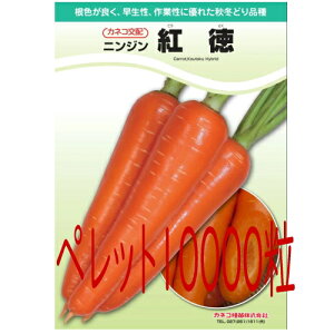 �y���׎���o�ׁz�J�l�R��c�@�g���@�l�Q�@�y���b�g10000��