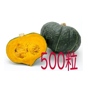 �y���׎���o�ׁz�J�l�R��c�@��d�I��Z�@500��