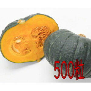 y׎oׁzJlRc@イEXZ@500