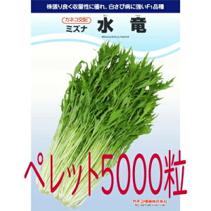 y׎oׁzJlRc@@؁@ybg5000