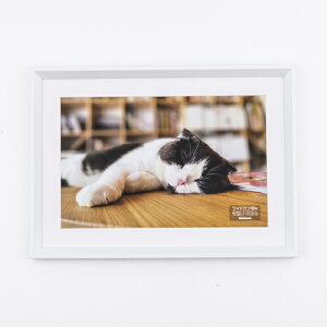 iJoV@ؐʐ^z /WZc /zCg@F-SW-120-W