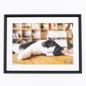 iJoV@ؐʐ^z /Wlc /ubN@F-SW-123-D