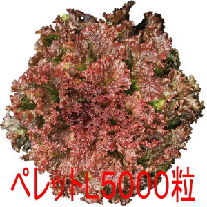 y׎oׁzJlRc@Tj[[Y@^X@ybgL5000