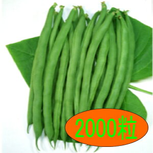 y׎oׁzJlRc@V[K@2000