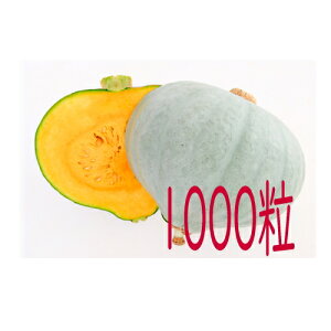 �y���׎���o�ׁz�J�l�R��c�@������d�I�@��Z�@1000��