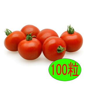 �y���׎���o�ׁz�J�l�R��c�@TY���b�h�I�[���@100��