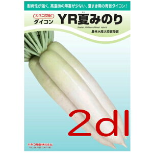 y׎oׁzJlRc@YRĂ݂̂卪@2dl