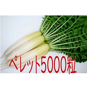 y׎oׁzJlRc@YRĂ䂽@卪@ybg5000