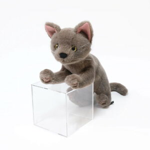 Cuddly Jh[ r O[ ~X`[t(30cm 200g) Lʂ݁y{z