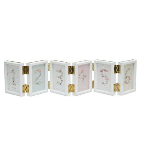 FUJICOLOR(�t�W�J���[) �����N�t���[�� �`�F�LHL6�A �z���C�g