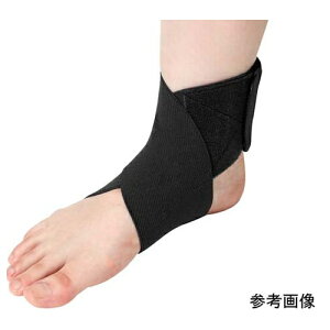 | ֐ߌŒoh \tEt@[GCg ubN LTCY 1P[X(6)@038084 `Oȗpi pi